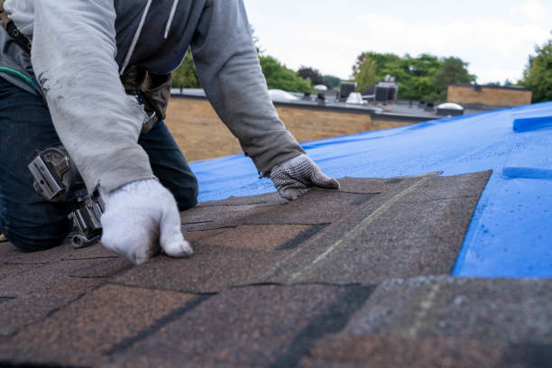 Best Metal Roofing Contractor  in Wenona, IL