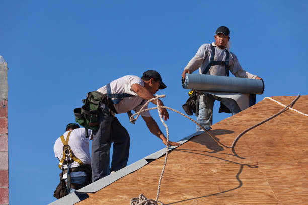 Best Commercial Roofing Services  in Wenona, IL