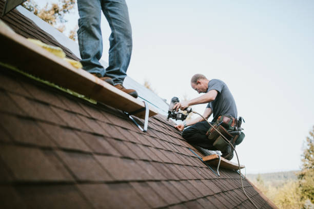 Best Residential Roofing Contractor  in Wenona, IL